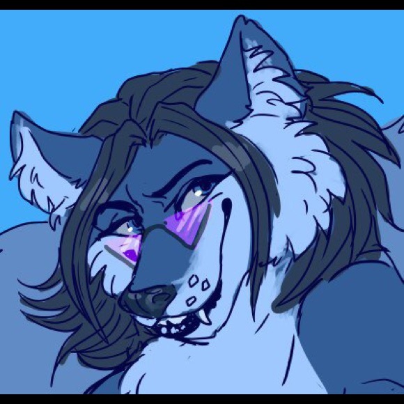 Meet your Posher, Omar - Picture 1 of 1